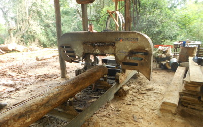 Visita Técnica ao Empreendimento Florestal de Arlindo Schindler em Santo Augusto – RS