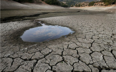 Cortes de água chegam ao coração da Califórnia: a agricultura