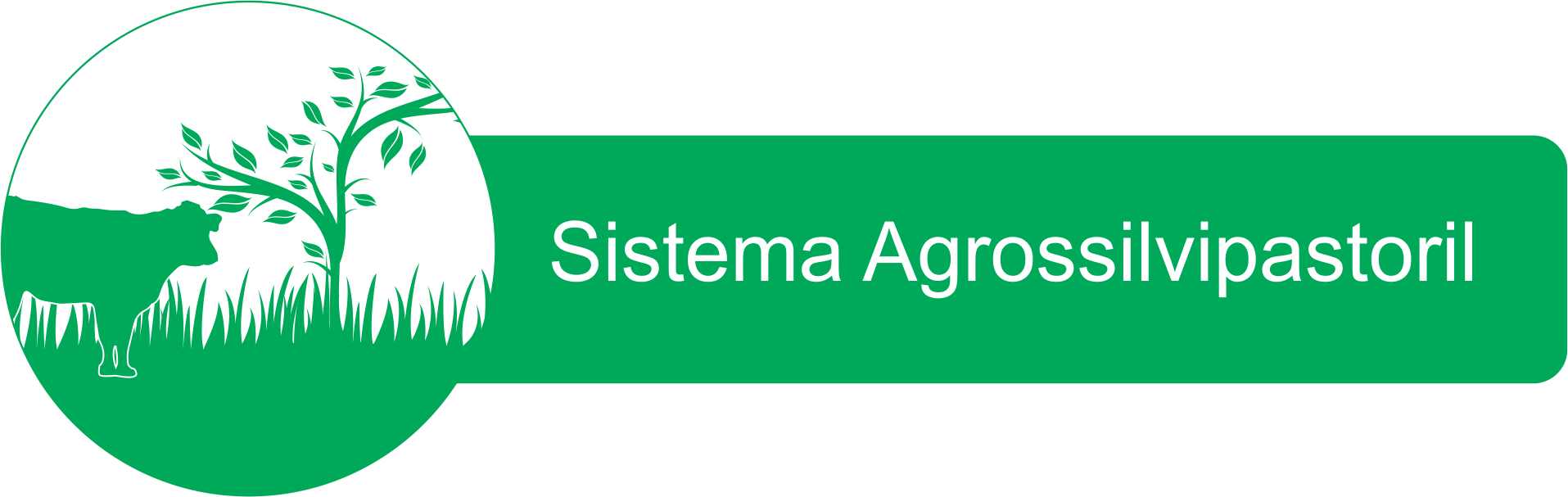 Sistema Agrossilvipastoril